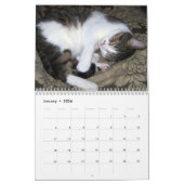 Calendrier mural des chats 2017 de sommeil (Jan 2026)
