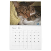Calendrier mural des chats 2017 de sommeil (Feb 2026)