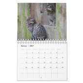 Calendrier Mural Des chats sauvages. (Feb 2027)