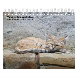 Calendrier Mural Des chats sauvages.