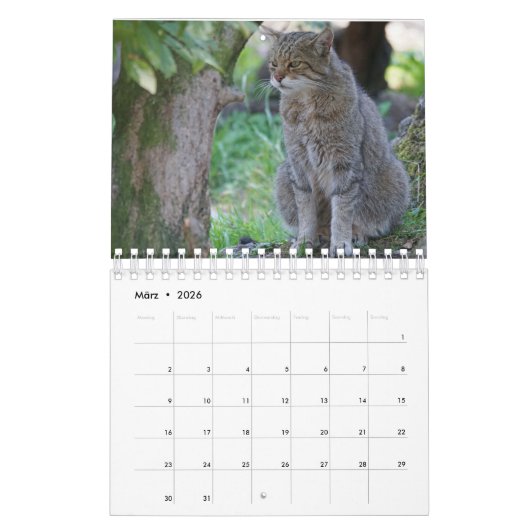 Calendrier Mural Des chats sauvages. (Mar 2026)