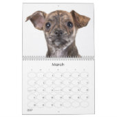Calendrier mural des chiots 2012 d'abri (Mar 2027)