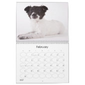 Calendrier mural des chiots 2012 d'abri (Feb 2027)