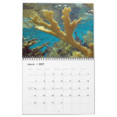 Calendrier mural des coraux acroporidés par J.W. F (Mar 2027)