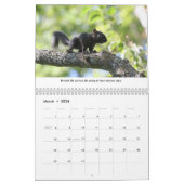 Calendrier mural des écureuils amusants (Mar 2026)