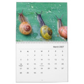 Calendrier mural des escargots (Mar 2027)