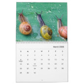 Calendrier mural des escargots (Mar 2026)