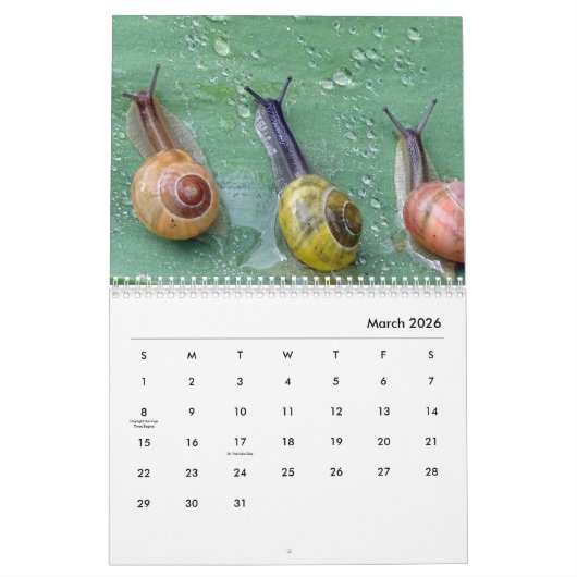 Calendrier mural des escargots (Mar 2026)