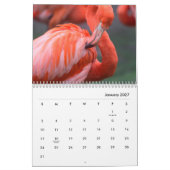 Calendrier mural des Flamants roses (Jan 2027)