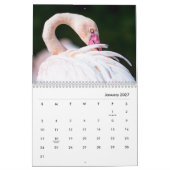 Calendrier mural des Flamants roses roses (Jan 2027)