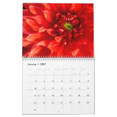 Calendrier mural des fleurs de jardin 2026 (Jan 2027)