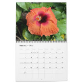 Calendrier mural des fleurs d'Hibiscus par J. Fath (Feb 2027)
