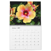 Calendrier mural des fleurs d'Hibiscus par J. Fath (Jan 2027)