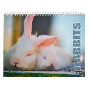 Calendrier mural des lapins