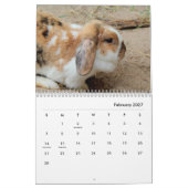 Calendrier mural des lapins (Feb 2027)
