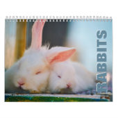 Calendrier mural des lapins (Protection)