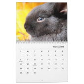 Calendrier mural des lapins (Mar 2026)