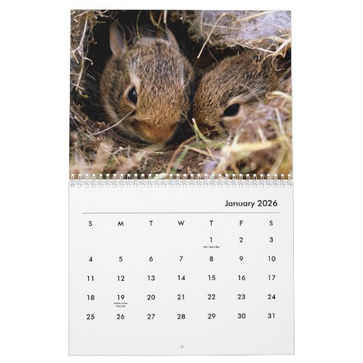 Calendrier mural des lapins (Jan 2026)