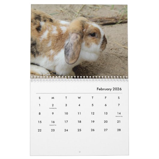 Calendrier mural des lapins (Feb 2026)