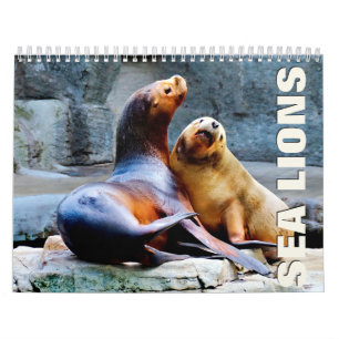 Calendrier mural des lions de mer 2022