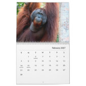 Calendrier mural des Orangutans (Feb 2027)