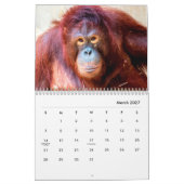 Calendrier mural des Orangutans (Mar 2027)