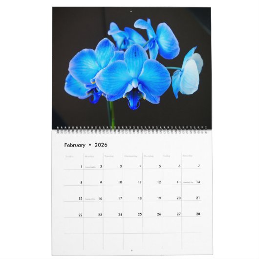 Calendrier mural des orchidées (Feb 2026)