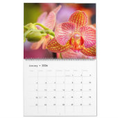 Calendrier mural des orchidées (Jan 2026)