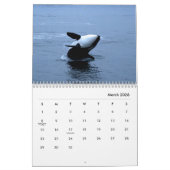 Calendrier mural des orques (Mar 2026)