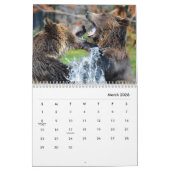 Calendrier mural des ours grizzlis (Mar 2026)