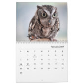 Calendrier mural des portraits de hibou (Feb 2027)