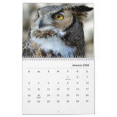 Calendrier mural des portraits de hibou (Jan 2026)