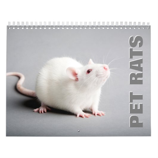 Calendrier mural des rats de familier (Protection)