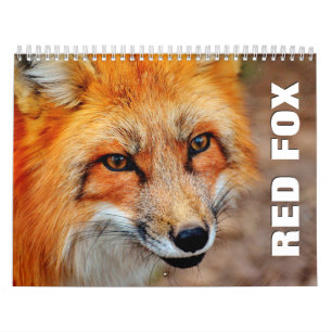 Calendrier mural des Renards rouges 2022