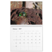 Calendrier Mural Desserrant les marbres du q II (Feb 2027)