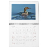 Calendrier Mural Dingues sur le Rideau (Mar 2027)