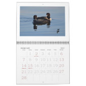 Calendrier Mural Dingues sur le Rideau (Feb 2027)