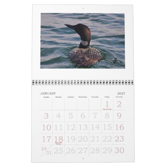 Calendrier Mural Dingues sur le Rideau (Jan 2027)