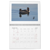 Calendrier Mural Dingues sur le Rideau (Feb 2026)