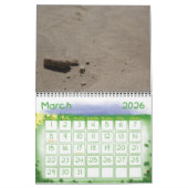 Calendrier Mural Dino-Calender (Mar 2026)