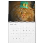 Calendrier Mural DJ's Cat Style 2 (Mar 2027)