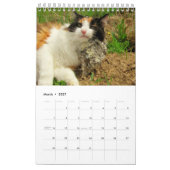 Calendrier Mural DJ's Cats One Page (Mar 2027)