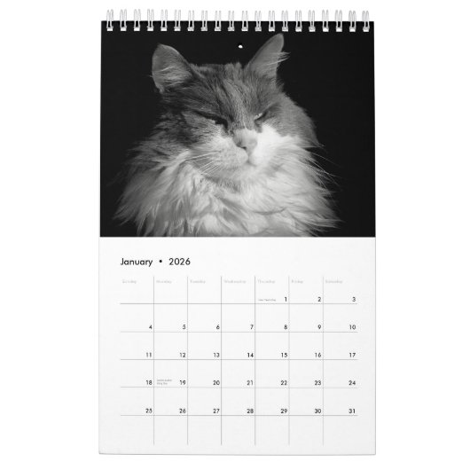 Calendrier Mural DJ's Cats One Page (Jan 2026)