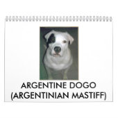 Calendrier Mural Dogo argentin (Protection)