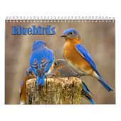 Calendrier mural d'oiseaux bleus (Protection)