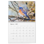 Calendrier mural d'oiseaux bleus (Feb 2027)