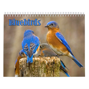Calendrier mural d'oiseaux bleus