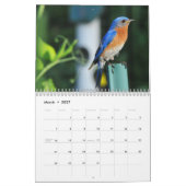 Calendrier mural d'oiseaux bleus (Mar 2027)