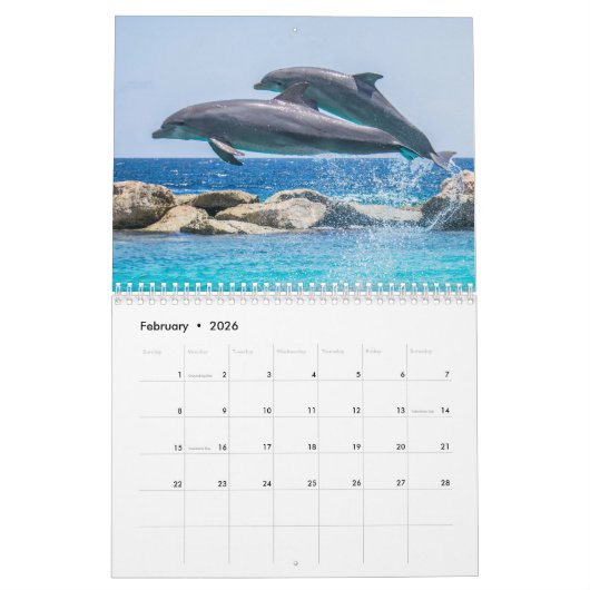 Calendrier Mural Dolphin Dive Hawaiian Love Destiny Destiny (Feb 2026)