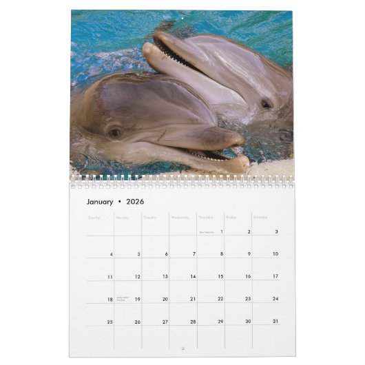 Calendrier Mural Dolphin Dive Hawaiian Love Destiny Destiny (Jan 2026)